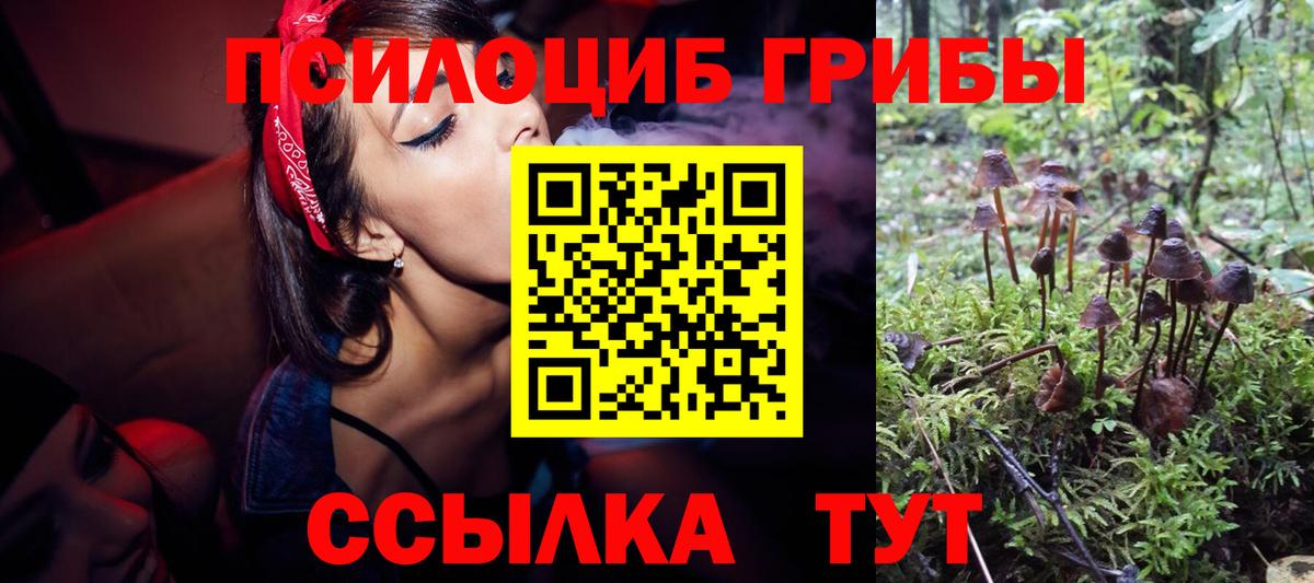 Псилоцибиновые грибы Psilocybe  как найти закладки  Артём  Вход с VPN 
